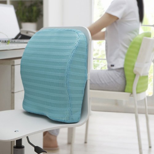 Soft-Spot BC 21 Orthopedic Backrest Cushion